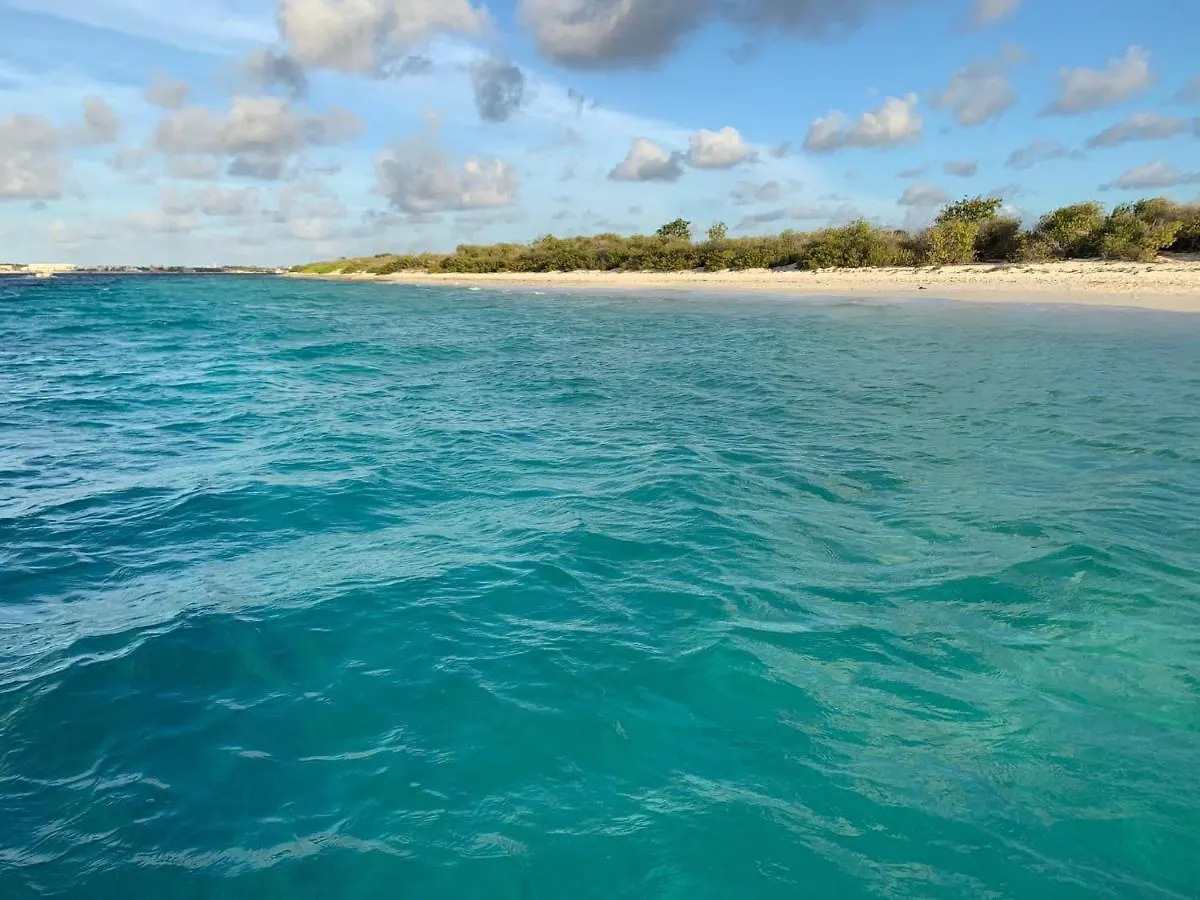 Kas Felis In Watervillas Kralendijk